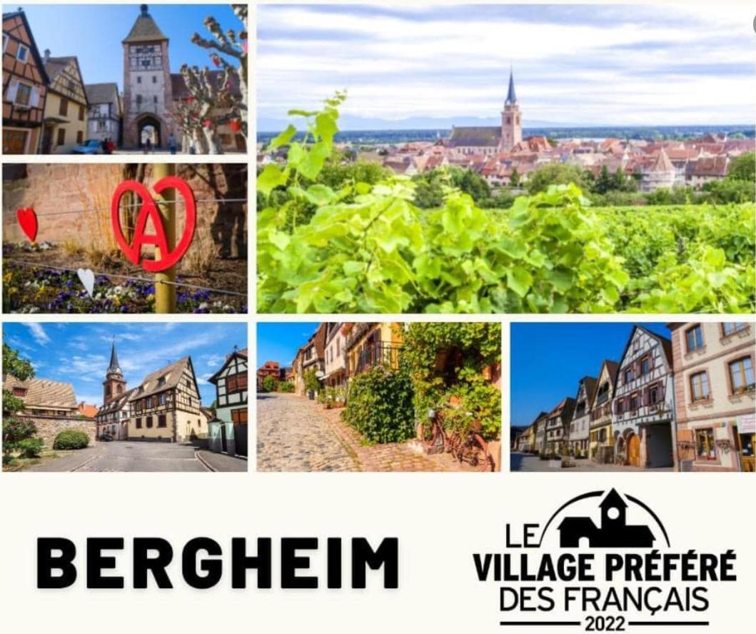 Le Petit Nid Διαμέρισμα Bergheim Εξωτερικό φωτογραφία